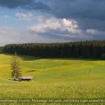 Entire House In Schwarzwald With Mountain View, Private Sauna, Gym, Garden And Terraces *