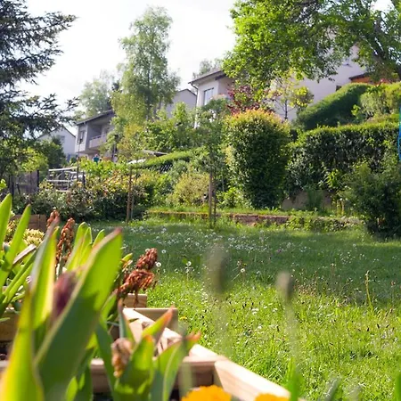 Entire House In Schwarzwald With Mountain View, Private Sauna, Gym, Garden And Terraces 度假居 *