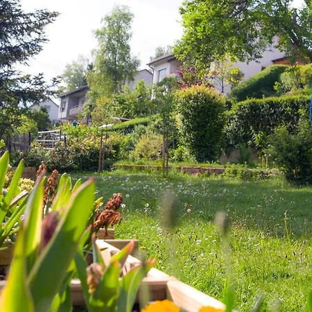 Entire House In Schwarzwald With Mountain View, Private Sauna, Gym, Garden And Terraces Holiday home *