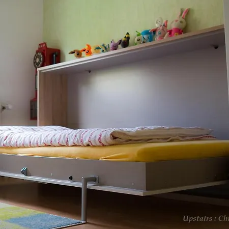 Entire House In Schwarzwald With Mountain View, Private Sauna, Gym, Garden And Terraces Unterkirnach