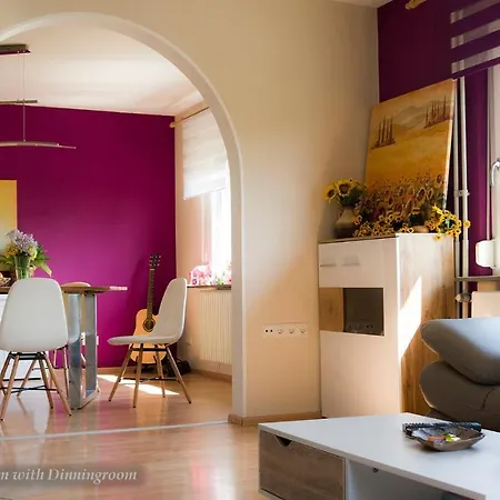 Entire House In Schwarzwald With Mountain View, Private Sauna, Gym, Garden And Terraces 度假居