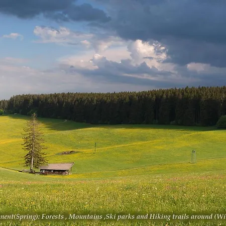 Entire House In Schwarzwald With Mountain View, Private Sauna, Gym, Garden And Terraces *