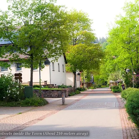 Entire House In Schwarzwald With Mountain View, Private Sauna, Gym, Garden And Terraces