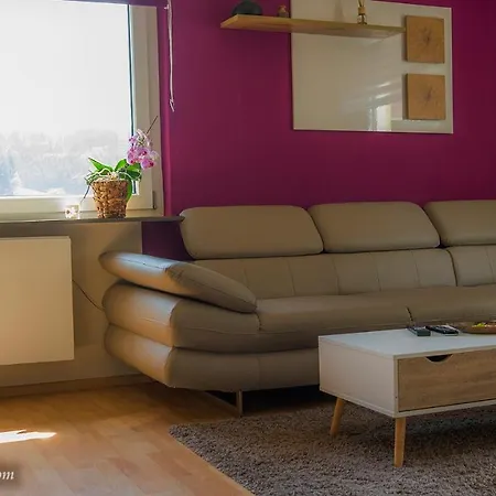 Entire House In Schwarzwald With Mountain View, Private Sauna, Gym, Garden And Terraces * Unterkirnach