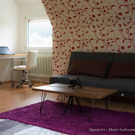 Entire House In Schwarzwald With Mountain View, Private Sauna, Gym, Garden And Terraces Holiday home
