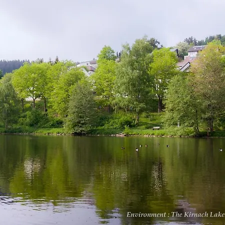 Entire House In Schwarzwald With Mountain View, Private Sauna, Gym, Garden And Terraces