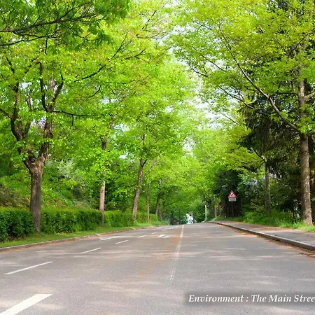 Entire House In Schwarzwald With Mountain View, Private Sauna, Gym, Garden And Terraces Σπίτι διακοπών Unterkirnach